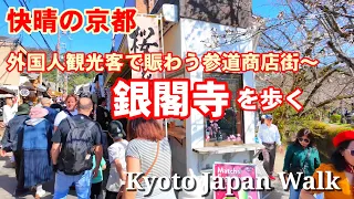 Kyoto Japan Walk/Ginkakuji Temple/April 1st 2024/賑わう銀閣寺道から銀閣寺へ