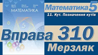 Мерзляк Вправа 310. Математика 5 клас