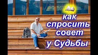 Как получить подсказку Судьбы? Легко!