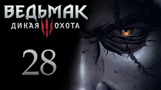 The Witcher 3 / Ведьмак 3 прохождение игры на русском - Вопросы [#28] | PC