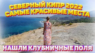 Красивейшие места на Северном Кипре 2022 | Северный Кипр сегодня | Клубничные поля на  Кипре