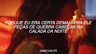 My boy only breaks his favorites toys - Taylor Swift (Tradução/legendado)