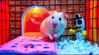 Hamster's Thrilling Adventure in the Dark Maze 🐹 DIY Hamster Maze