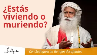 ¿Estás muriendo o estás viviendo? | Sadhguru