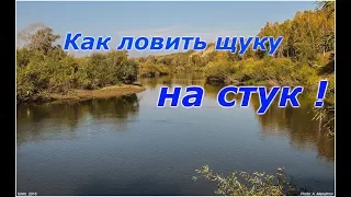 Как ловить щуку на стук !