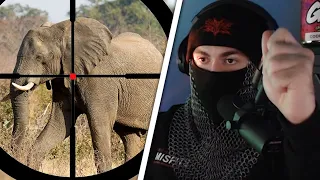 SwaggerSouls Explains Why People Hunt Elephants