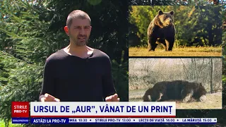 Prinţul care a venit la noi să împuşte “ursul de aur”, cel mai mare din România