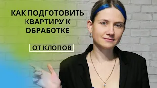 Как подготовить квартиру к обработке от клопов