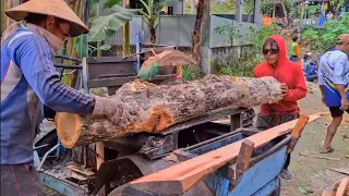 Proses pengolahan kayu jati & mahoni dengan gergaji serkel