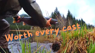 Southeast Alaska steelhead fishing spring 23