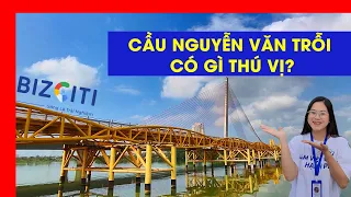 CẦU NGUYỄN VĂN TRỖI CÓ GÌ THÚ VỊ | REVIEW ĐÀ NẴNG | Bizciti Vietnam