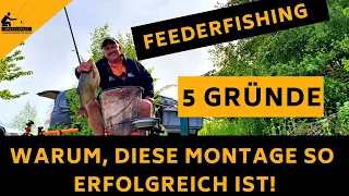 Die "13.5 cm" Feedermontage