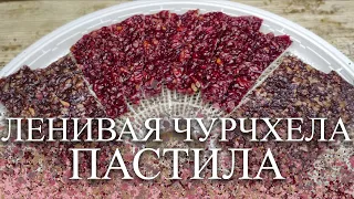 ПАСТИЛА "ЛЕНИВАЯ ЧУРЧХЕЛА"