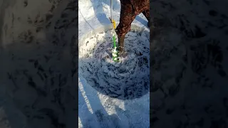 Ледянка . Ловля рыбы в озере зимой. полное видео в профиле.