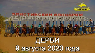 "Дерби" 2020. Элистинский ипподром.