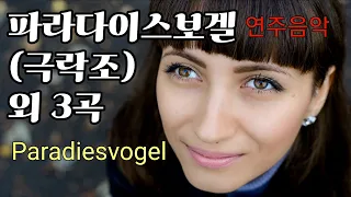 [연주음악]Paradiesvogel(극락조)/James Last 외 3곡