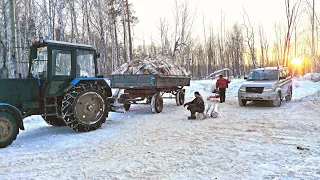 ЗАГОТОВКА ДРОВ В СИБИРСКОЙ ДЕРЕВНЕ.ВЕЗЁМ ДРОВИШКИ БАБУШКЕ.