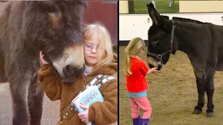 Little girl came to this donkey and hugged him. A few moments later a miracle happened!