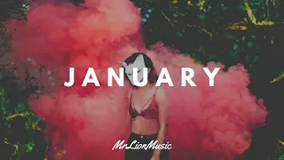 JANUARY | MIX 2019 | MrLionMusic