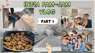 India Fam-Jam Vlog - Part 1 || Family Time  and Shopping with friend || Pinky Ghosh