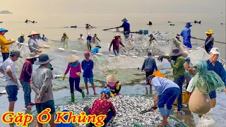 Hiếm Lắm Mới Kéo Lưới Gặp Ổ Cá Quá Khủng Thế Này║Đãi Vợ Bầu Món Bạch Tuộc Nhúng Nước Dừa.