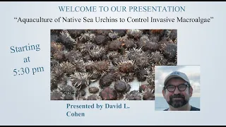 “Aquaculture of Native Sea Urchins to Control Invasive Macroalgae” by David Cohen