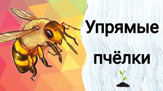 УПРЯМЫЕ ПЧЕЛКИ - Детские Христианские рассказы - ГОРЧИЧНЫЕ РАССКАЗЫ🌱