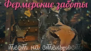 Быстрый тест на стельность коровы на молоке//Quick test for pregnancy of a cow on milk/快速测试牛奶上的奶牛怀孕