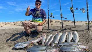 PESCA de RÓBALOS de ORILLA con GOMAS y MINNOW !! Primera vez en esta playa !!