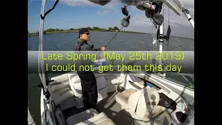 Spring Delta Striper Hunt - Bummer - No Stripers on Video This Day 5-25-2019