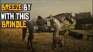 RDR2 - How To Get The Brindle Thoroughbred Early and Free, Fastest Horse | All Methods | Full Guide