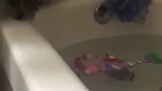 Kitten falls in bathtub