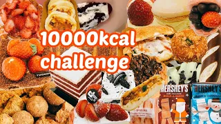 밀가루 폭식브이로그) 디저트 만칼로리챌린지 먹방10000kcal MUKBANG VLOG (+ 마라탕,뿌링클,불닭볶음면)