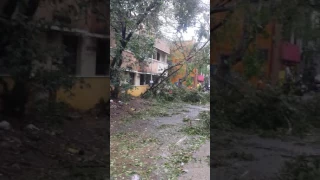 Chennai Road @ Cycole Vardah - Chennai records maximum wind speed of 192 km/hour