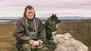 The host of reindeer mountains in Priuralye and Baydarat. Leonid Taishin | Yasavey