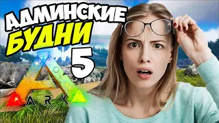 ARK ➤ Админ ЗАРЕЙДИЛ БАЗУ! Следим за ВЫЖИВАНИЕМ Игроков на ARK ION  X5 PVE!  АДМИНСКИЕ БУДНИ #5