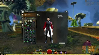 Everything in the Equipment/Hero panel explained - Guild Wars 2 guide - 2022