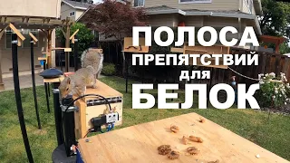 Полоса препятствий для белок