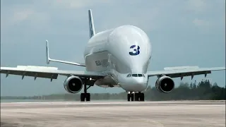 Beluga  самолёт   гигант, похожий на кита