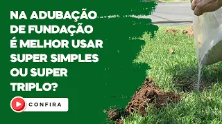 NA ADUBAÇÃO DE FUNDAÇÃO É MELHOR USAR SUPER SIMPLES OU SUPER TRIPLO? CONFIRA!