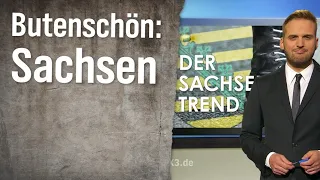 Statistikexperte Butenschön: Sachsen | extra 3 | NDR