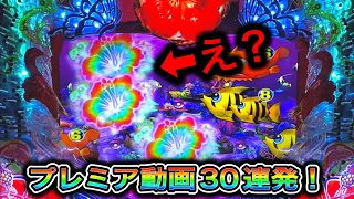 【Pスーパー海物語in沖縄5】プレミアコレクション！