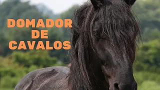 O Domador de cavalos - Enigma