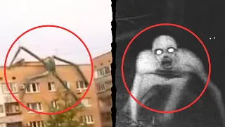 30 Mysterious Giant Creatures Caught On Camera