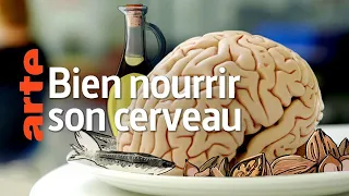 Bien alimenter son cerveau | Santé mentale | Documentaire 2020 ARTE