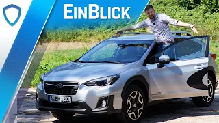 Subaru XV 2.0i (2019) - Der KERNIGE Typ unter den Kompakt-SUVs?