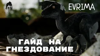 THE ISLE EVRIMA. ГНЕЗДОВАНИЕ! ПОДРОБНЫЙ ГАЙД!