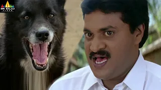 Telugu Comedy Scenes Back to Back Vol 12 | Hit Movie Comedy | Sri Balaji Video
