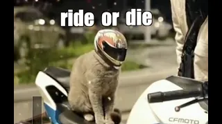 Ride or Die