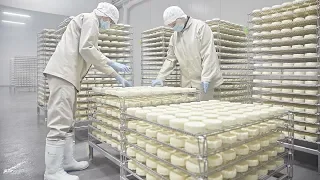 Производство сыра Камамбер в России